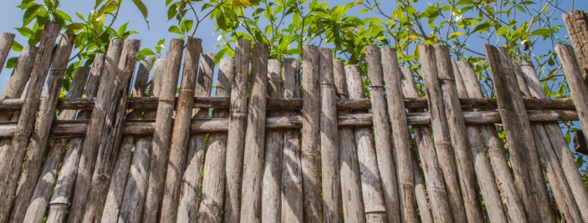 Alanya Bambu Hasır Çit, Bambu Hasır Çit Alanya, Alanya Bambu Hasır Çit Fiyatları, Alanya Bambu Hasır Çit Firmaları